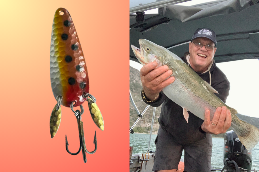 Best Lures for Catching Big Trout!